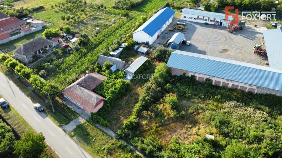 Casa individuala cu 3 camere, 130 mp utili, teren 1238 mp, in Livezile Timis - 30