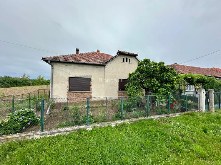 Proprietar casă locuibilă, teren 2.868 mp, Găvojdia, Timiș - 3