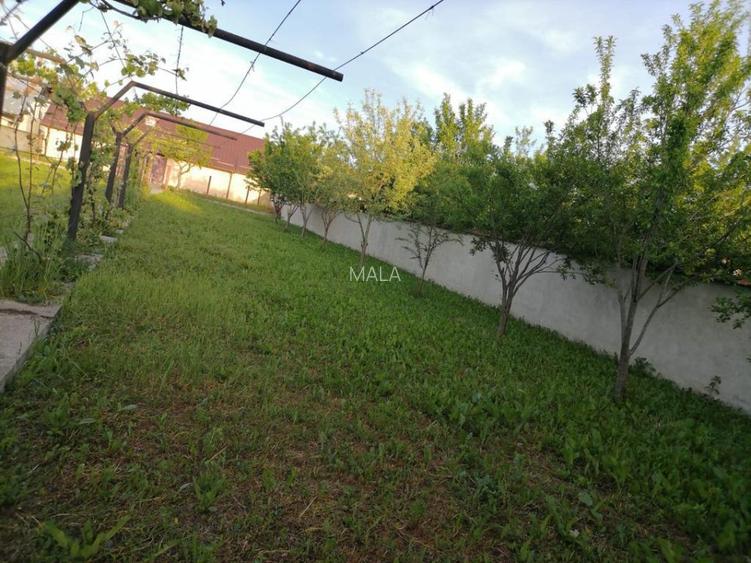 Casa in Vladeni - 3