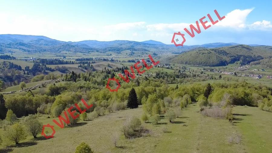De vânzare 2 terenuri extravilane în localitatea Vama Buzăului!