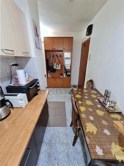 Apartament 1 camera-Lipovei