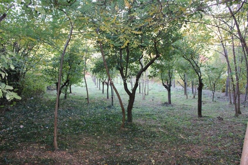 Casă cu suflet și priveliște de poveste – Crasna, Gorj - 32