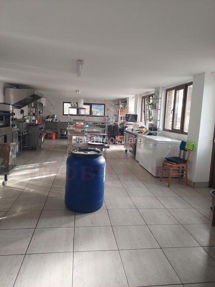 RESTAURANT DE VÂNZARE-COM. OBREJA\SAT IAZ\CARAȘ SEVERIN - 21