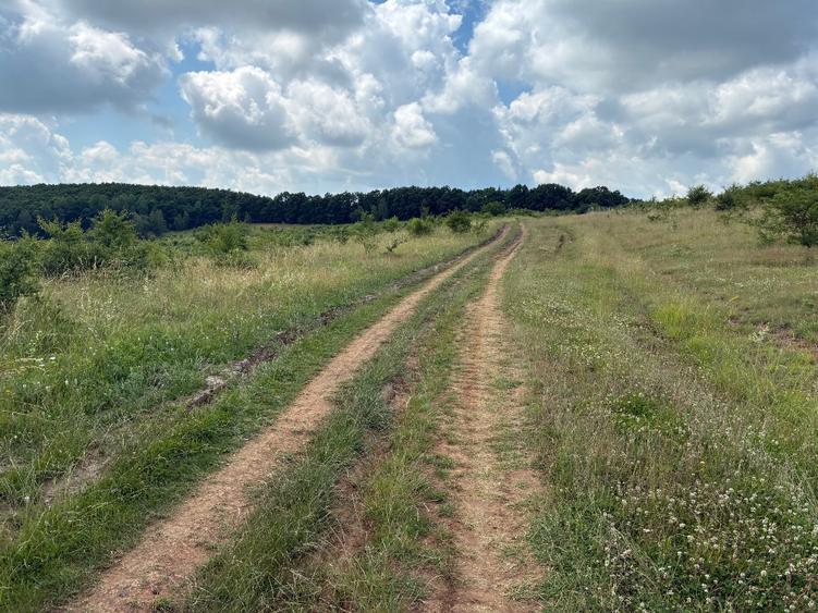 Vand teren in localitatea Salicea extravilan 974 MP