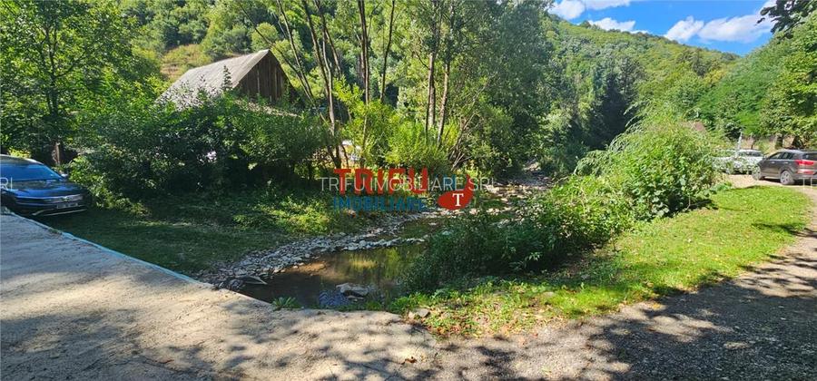 Cabana de vânzare în Intregalde – 5 camere, 1.200 mp teren si ciub - 27