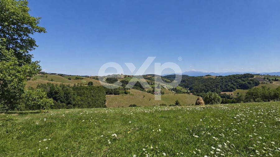 8.544 mp în Poiana Mărului | Teren cu potențial, la doar 1 km de asfalt