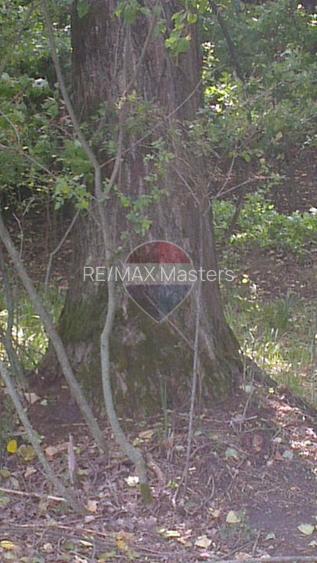 DE VÂNZARE – FOND FORESTIER PRIVAT | 100,9 ha | Județul Suceava - 4