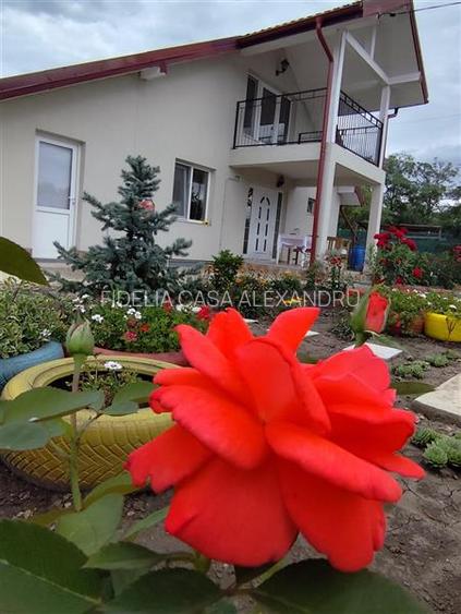 Vila de vanzare Stejari - 2