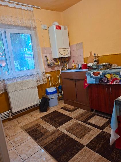 Casa Viile Noi,proprietar