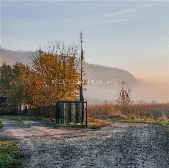 Transilvania Camping, domeniu de 14.400mp,Sanmarghita de Mures:2cladiri, apartam - 41