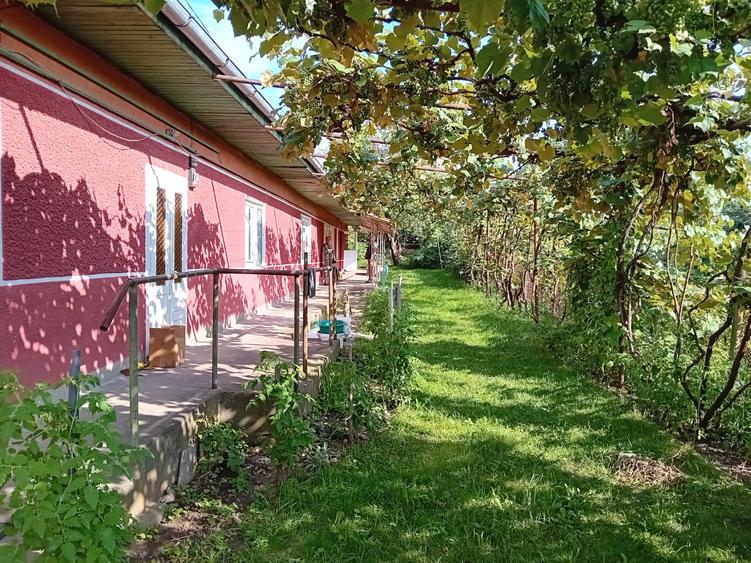 DE vanzare casa curte comuna in Cristesti