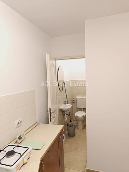 Spatiu comercial de inchiriat Motilor - 21