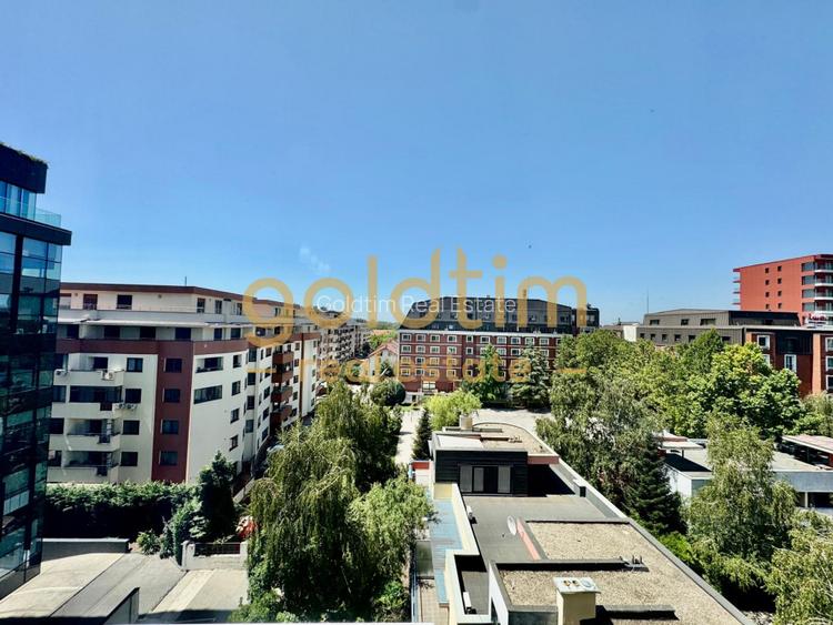 PRIVELISTE SPECTACULOASA/HERASTRAU/SPATII GENEROASE/PARCARE INCLUSA/SUPERB - 26
