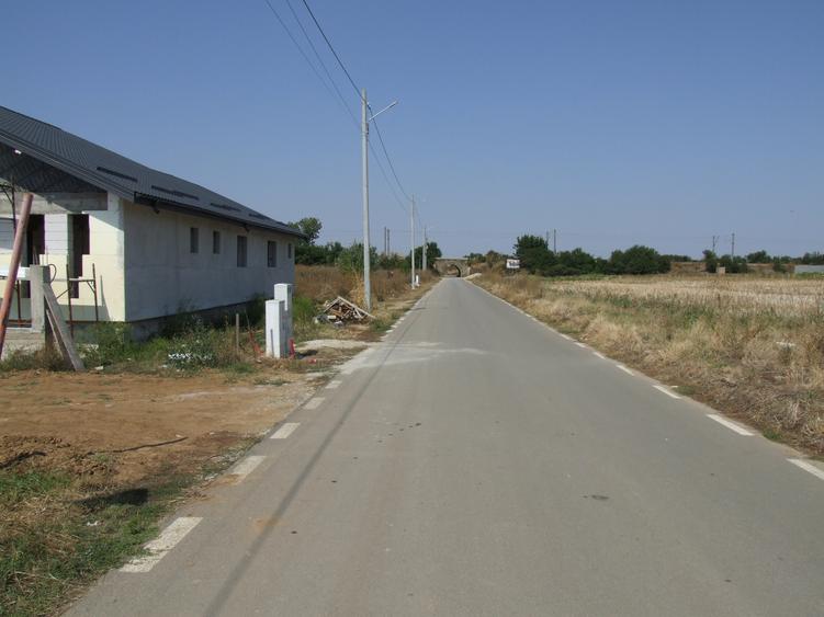 Domnesti-Salciei-stradal 6784 mp
