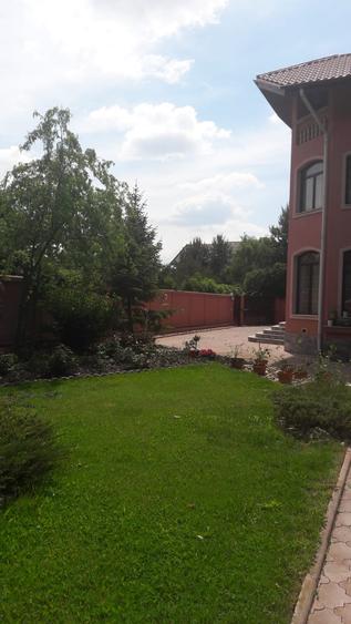 Vanzare Vila langa padure/ Iancu Nicolae