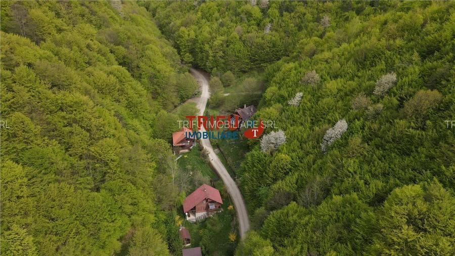 Casă de vacanță la pădure | Teren 891 mp | Valea Ighielului - 4