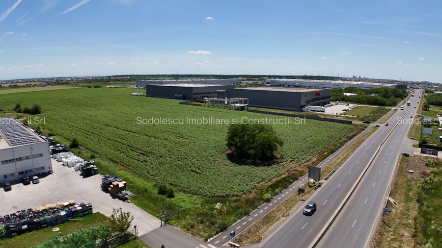Parcele Industriale DN691 Giarmata | Utilități Incluse - 8