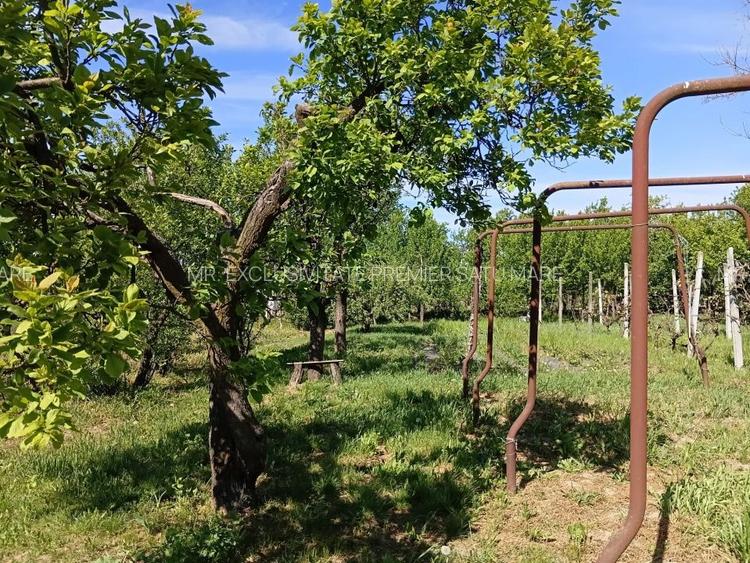 De Vânzare Casă Culciu Mare Satu Mare - 5