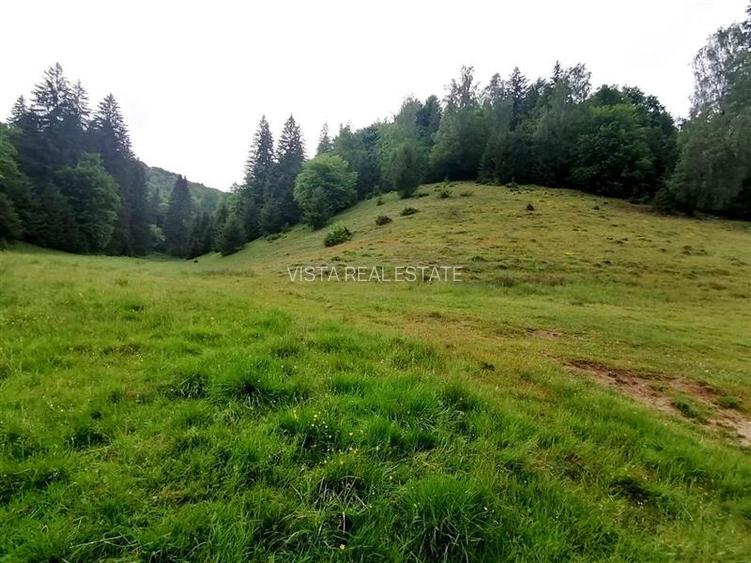 Teren intravilan Poiana Mica, 2763 mp, PUZ constructie casa P+4E+M - 3