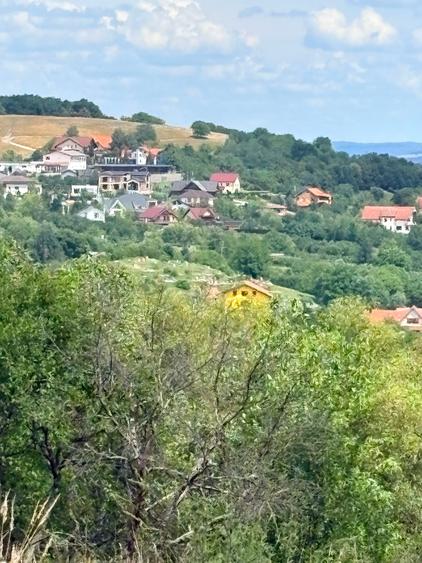 VAND 1648 MP TEREN CU PUZ CISNADIOARA