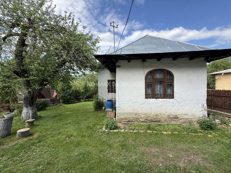 2 Case + teren 1390 mp langa parcul central Provita de Sus - 29