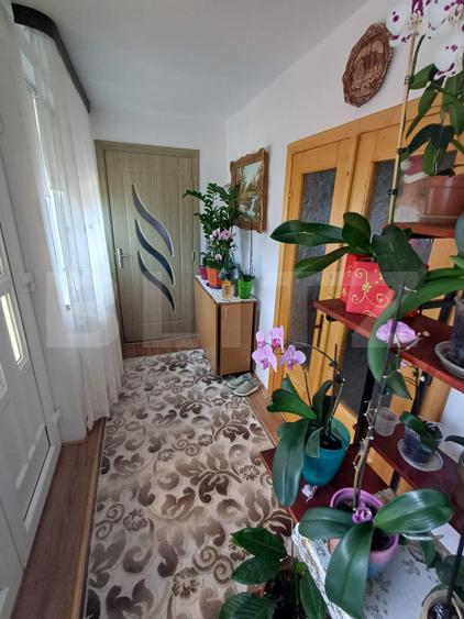 Casă de vânzare cu anexe, 35 ari teren, Adancata