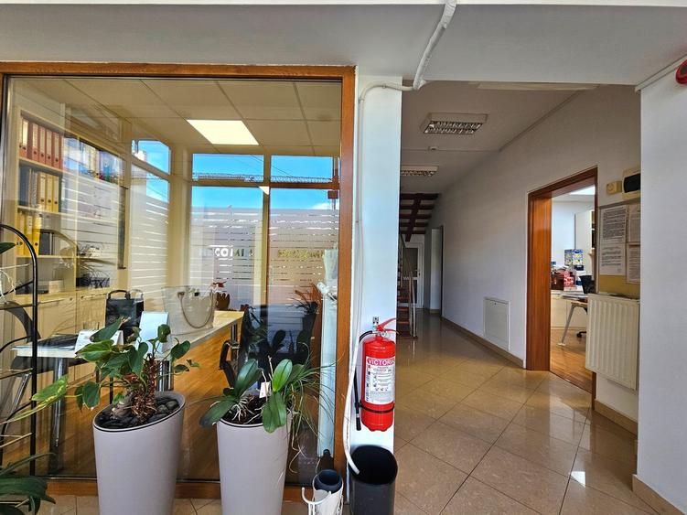 Hale Industriale 5065 mp de vanzare Str. Bradului - Bacau