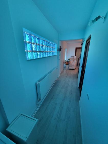 Delfinariu- apartament 3 camere in vila