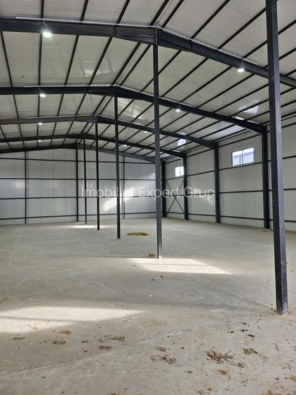 Hala noua  590 mp Afumati- Doraly - 5