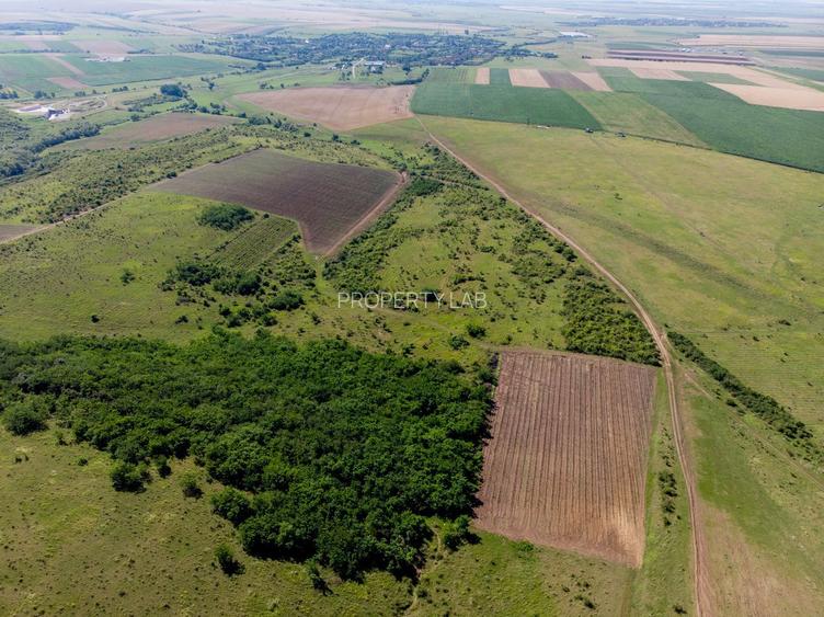 Teren arabil de 316 hectare în Olt - 2