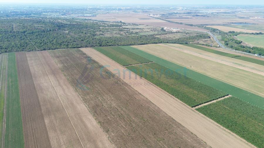 Teren intravilan de vanzare, 66400 mp, langa Oradea, Bihor