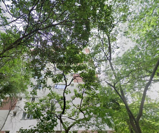 Basarabia, Bd. Chisinau, metrou Costin Georgian 5 min. - 7
