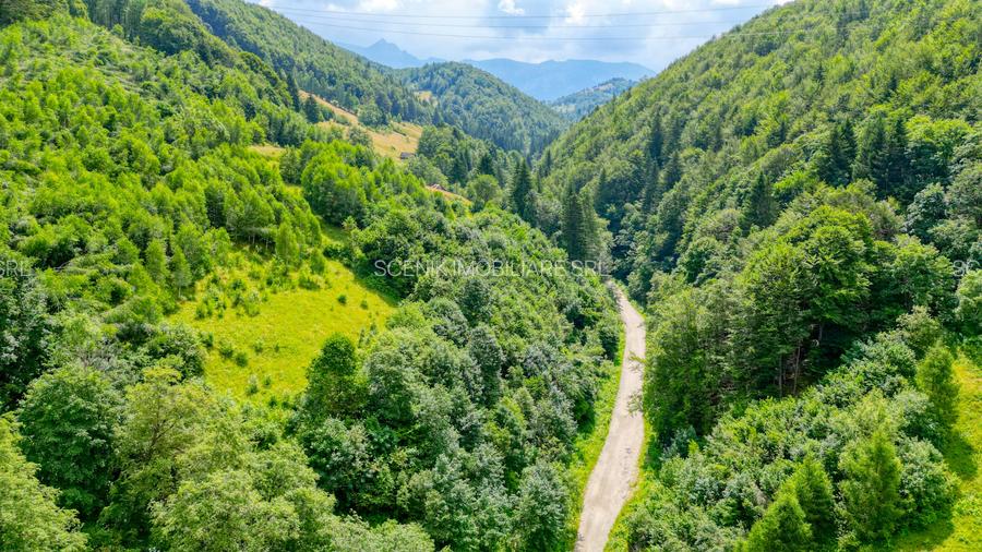 Investitie Smart in Moieciu, 3.1 ha, Panoramă 360 Bucegi - Piatra Craiului - 5