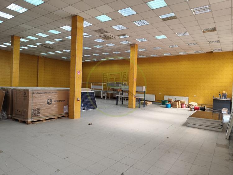 Hale 500–1.000 mp în Terezian – acces camion, lift industrial