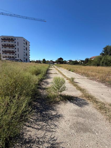 Teren intravilan, 5500 mp, zona Filiasi