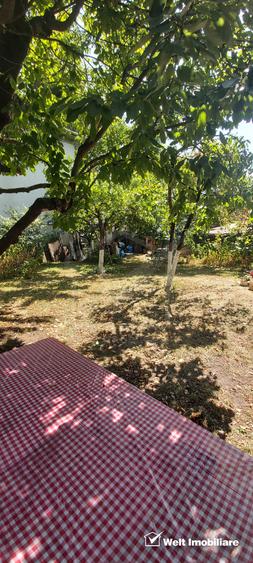 Vanzare apartament 2 camere, curte, gradina, Centru