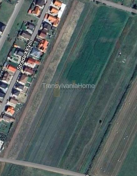 TEREN 2.300 MP – ZONĂ DE CASE, LINIȘTITĂ ȘI ÎN DEZVOLTARE - 3