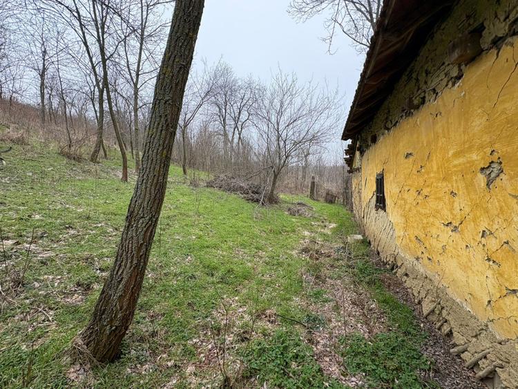 Teren 2.038 mp + Casă 50 mp de vânzare – Sat Luncsoru, Com. Ghercești