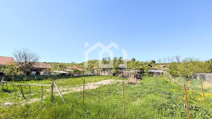 Teren Intravilan 800mp - Visea