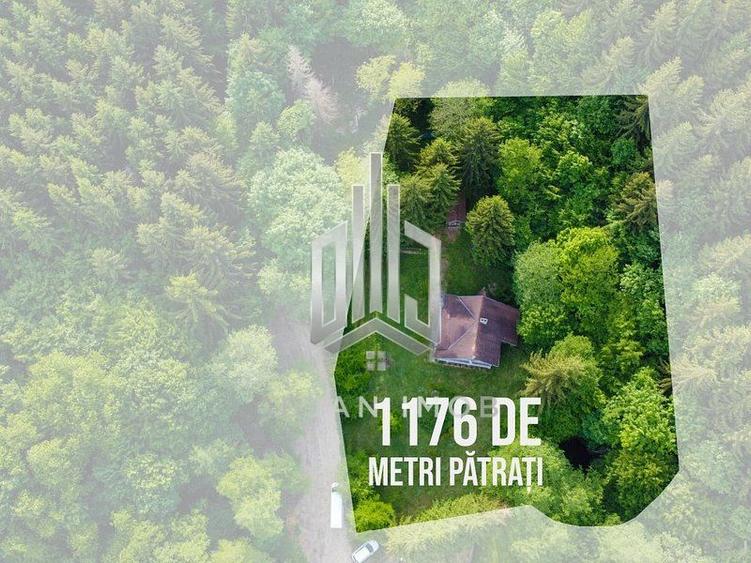 Vilă cu 4 camere | Valea Crișului | COMISION 0%