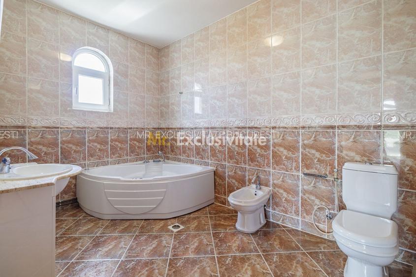 Domeniu privat 5.000 mp, cu reședință de 625 mp și piscină, Corbeanca - 30