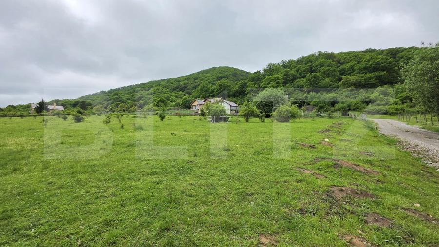 Teren intravilan de vanzare, 14,5 ari, zona Sud-Bistrita, Viisoara - 2