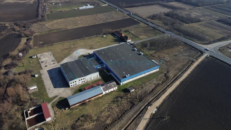Hală Industrială de vanzare 6500 mp în Madaras la 30 km de Oradea, Bihor