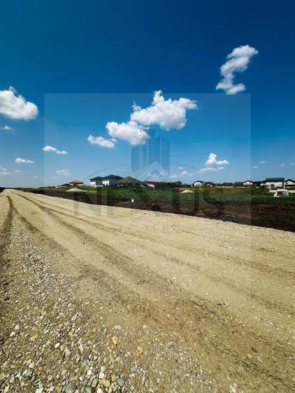 Teren de vânzare| Berceni – Str. Câmpului | Oportunitate investiție
