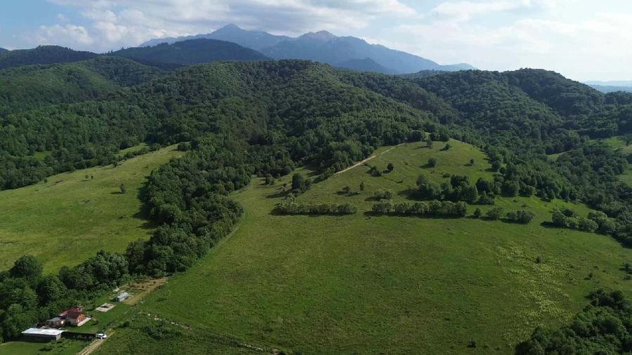 RASNOV BRASOV TEREN EXTRAVILAN 11,000 MP - CHEILE RASNOAVEI