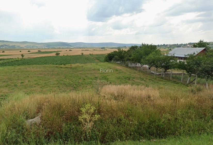 Teren intravilan si extravilan Negresti, Vaslui, sat Voinesti (Vulturesti) - 3