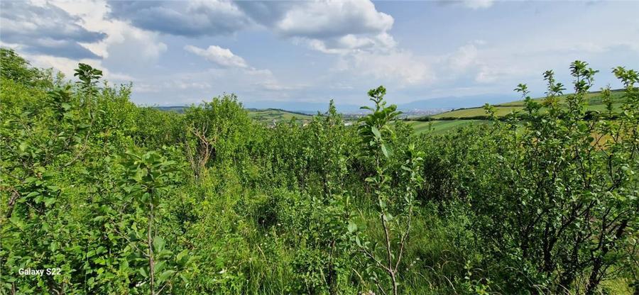 Teren 5000mp cu livada in Sura Mare - panorama deosebita