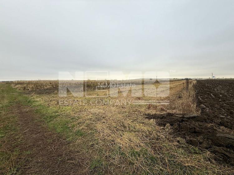 Parcela teren agricol 50 Ari - 2