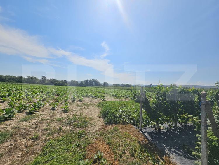 Teren extravilan 14.000 mp, Drâmbar – Ciugud | solarii, fotovoltaice