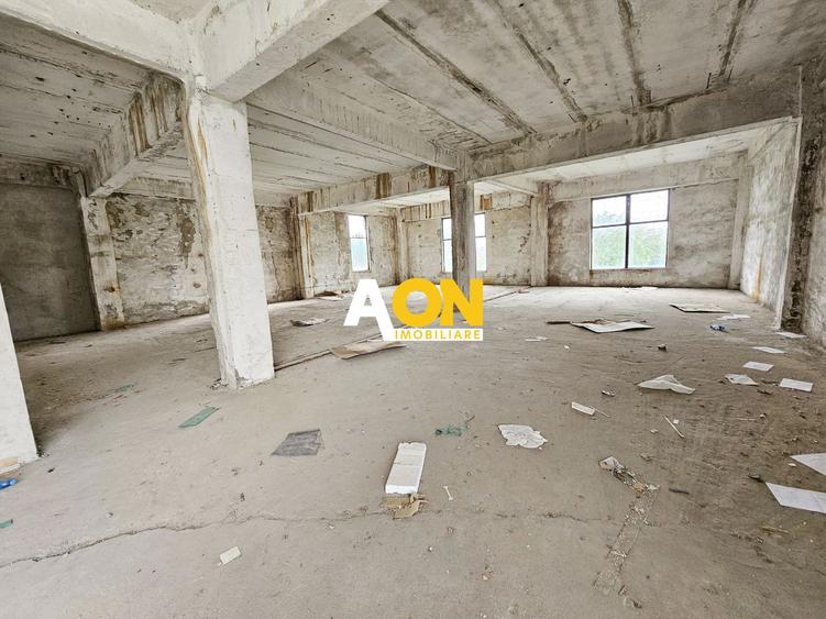 Spatiu industrial pentru productie sau depozitare, 1600 mp, Sebes